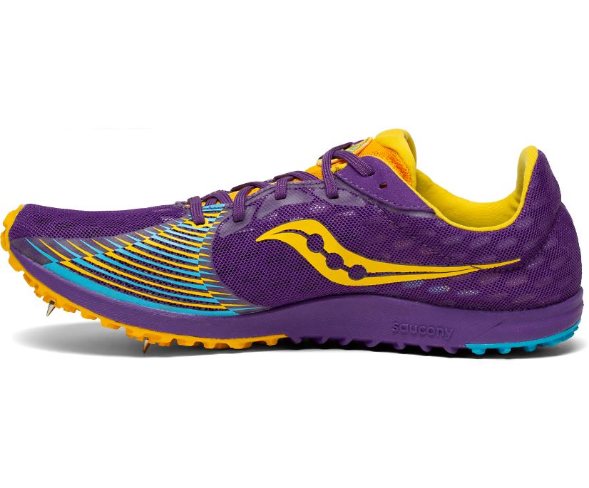 Dámské Běžecké Boty Saucony Kilkenny Xc9 Spike Fialové Zlaté | 7394-PMXNF