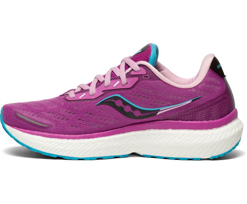 Dámské Běžecké Boty Saucony Triumph 19 Fialové | 5071-SVZLG